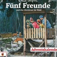 Cover_Fnf Freunde_Abenteuer im Wald
